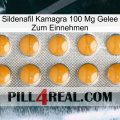 Sildenafil Kamagra 100Mg Oral Jelly levitra1